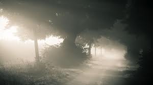 misty path